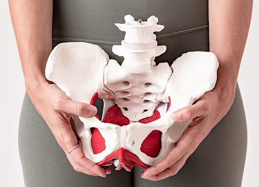 Pelvic Floor Pain in Women