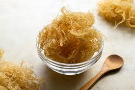 Benefits of Sea Moss