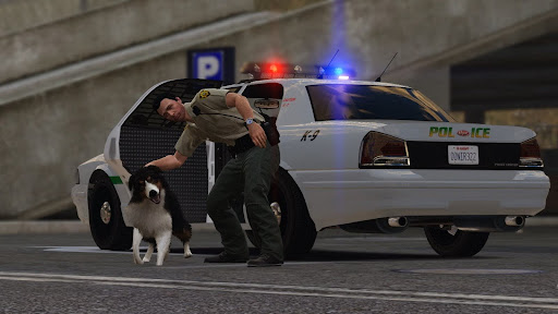 FiveM MLO for Law Enforcement Training