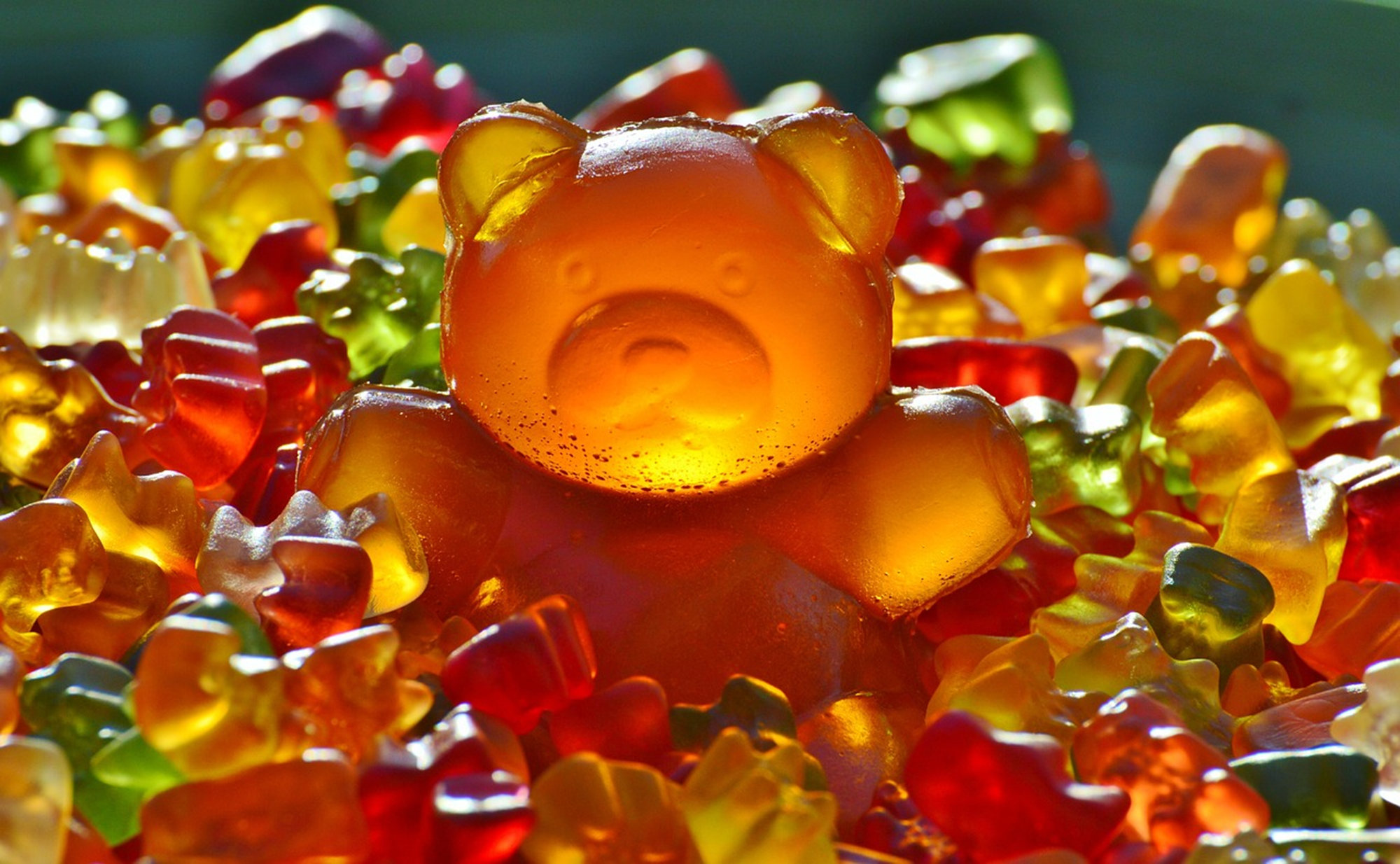 Creatine Gummies Review: What Users Say