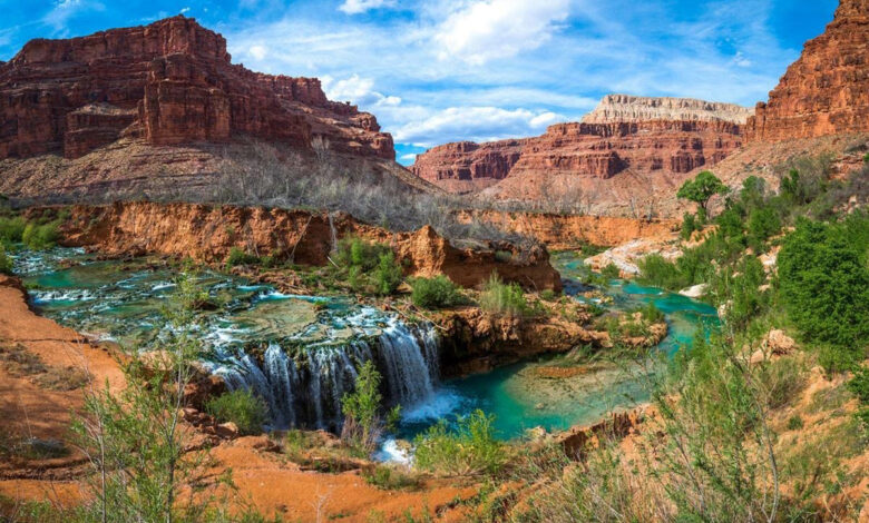 Arizona