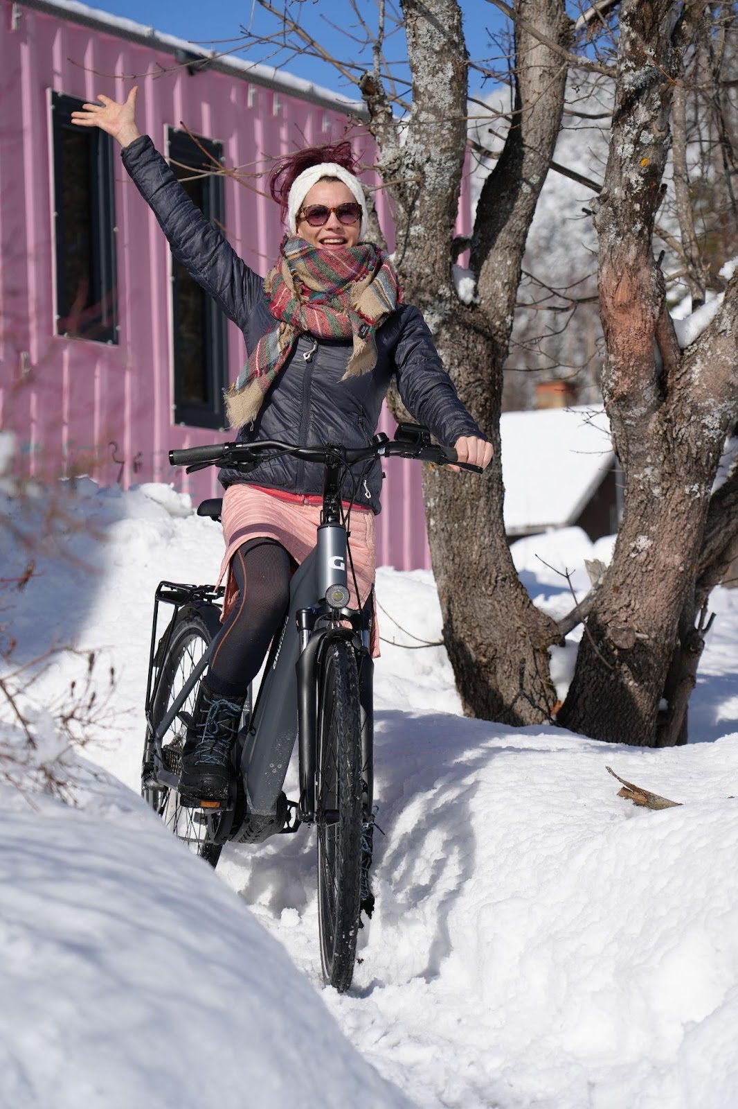 Ebike Security
