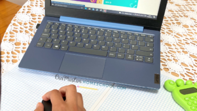 Homeschooling Online GCSE Courses