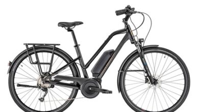 Moustache Electric Bikes: Features and Benefits of Premium E-Bikes