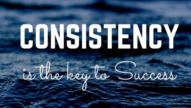 Consistency Is King: How Frequent Posting Drives Social Success