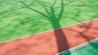 Sports Surfaces