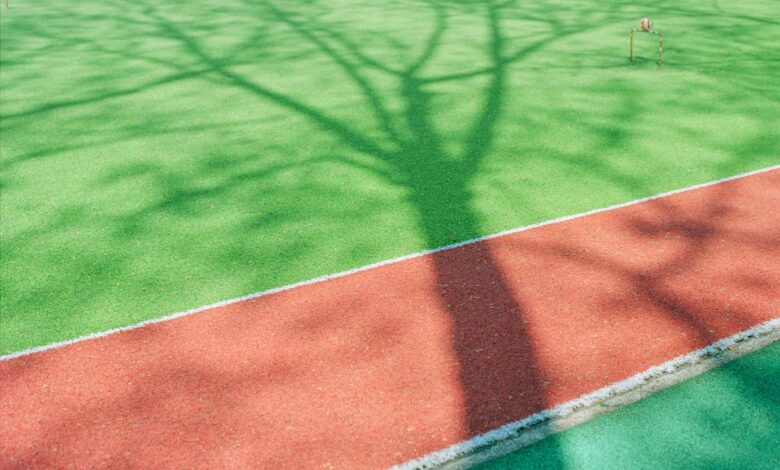 Sports Surfaces