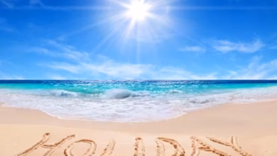 Holiday