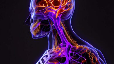 AO Scan App and Devices How AO Scan Technology Improves Your Health
