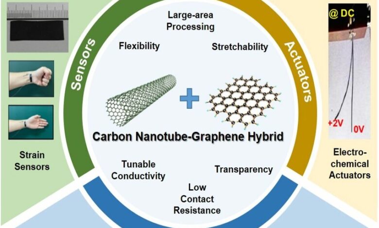 Application of Carbon Nanotubes in Electronics