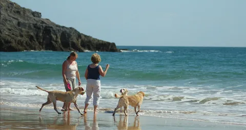 Dog Friendly UK Destinations to Visit Now