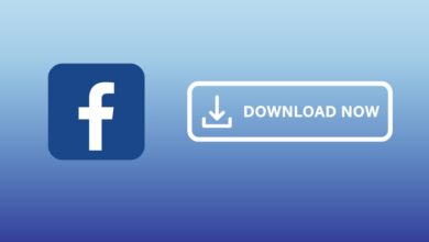 FB video download