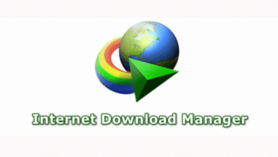Everything You Need to Know About Internet Download Manager