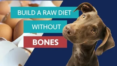 Long-term Benefits Linked to a More Natural Dogs Diet