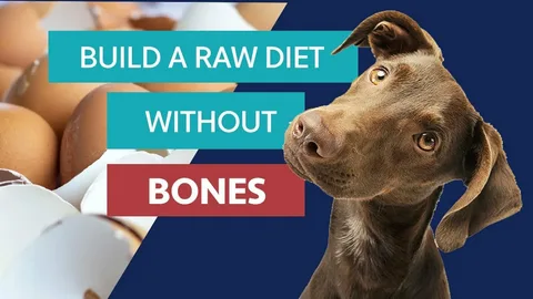 Long-term Benefits Linked to a More Natural Dogs Diet