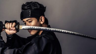 What is the fastest katana fighting style?
