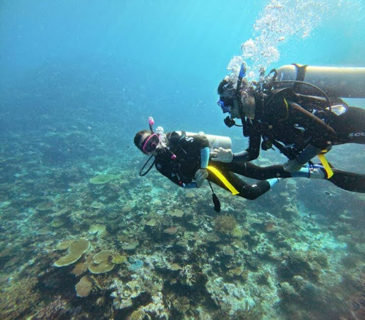 Fiji Diving