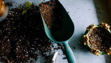 Garden a Makeover