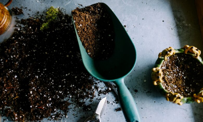 Garden a Makeover